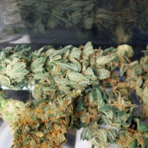 Entry for Nug of the Month March 2012 Lovevibez