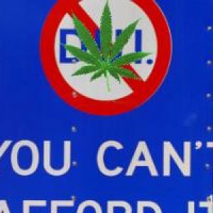 colorado-pot-dui-bill