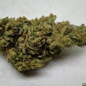 Organic_Silver_Mist_Super_Silver_Haze_x_Kali_Mist_