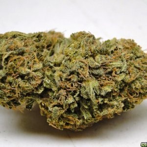 Organic_Blue_Thai