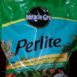 perlite2