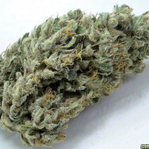 Organic_Silver_Mist_Bud