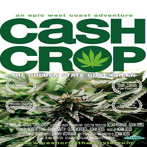 cash-crop_jpg