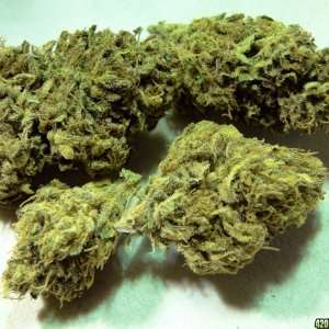 Organic_Sour_Diesel1