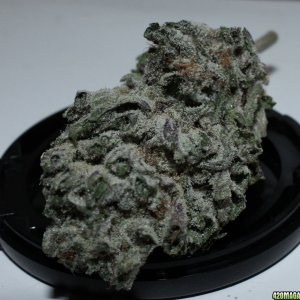 BlackBerry Kush