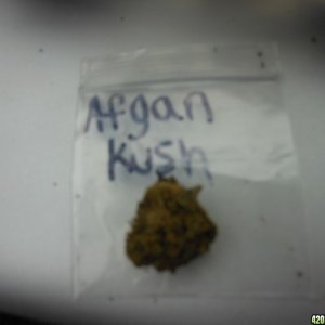 Afgan Kush