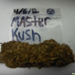 Master Kush