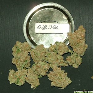 OG Kush - Sativa