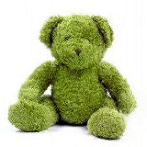 teddy_img_assist_custom-250x160