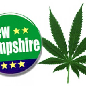 new-hampshire-bill-