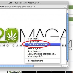 Gallery_Tutorial_Mac_Version_6