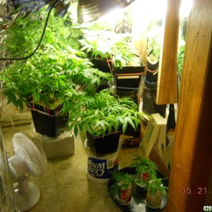 Veg room - group shot