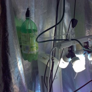 DIY CO2 Generator