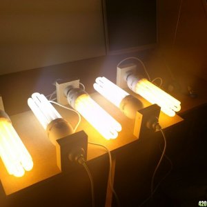 cfl lights