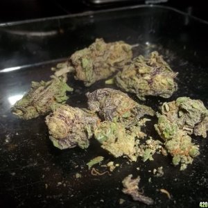 Purp