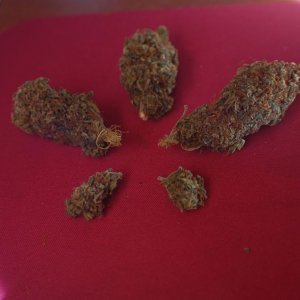 smoke_report_sour_ak