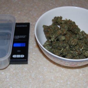 weed with scale and tare