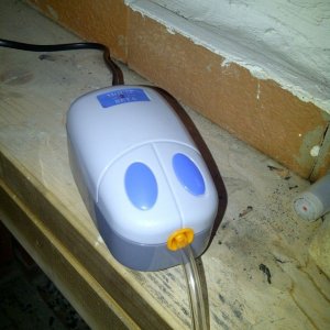 mouse air pump