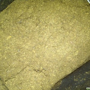 organic peat