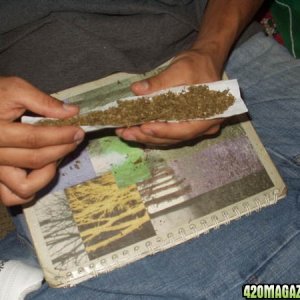 Rolling the nice big joint