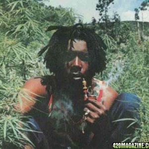 Peter Tosh smoking weed