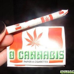 O Cannabis