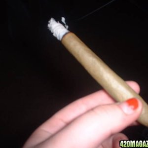 Blunt #2