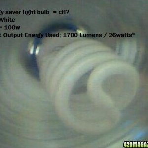 Light_Bulb