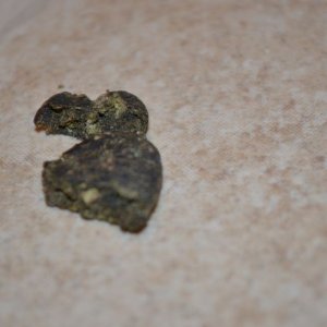 Bubble hash purple kush1