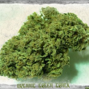 Organic_Green_Crack1