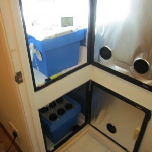 Green Knight Grow Cupboard