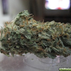 StrawberryCough Bud