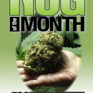 Nug-Month_new