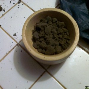 PK Bubble hash1