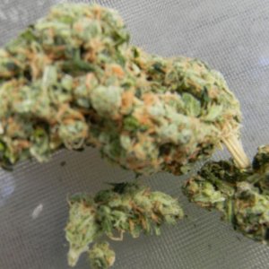 Sour Diesel