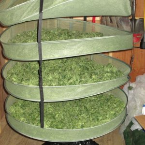 Full Drying Racks