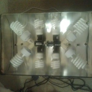 Diy cfl fixture 17,600 lumens