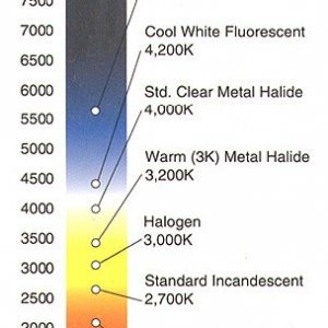 spectrum