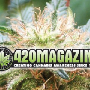 420 Magazine