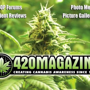 420 Magazine