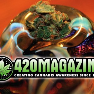 420 Magazine