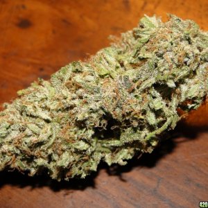 Organic_Blueberry_x_Cheese_Dried_Bud