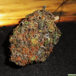 Grape Ape