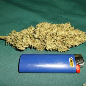 A 7.1 gram Aurora Ultra Confidencial BUD