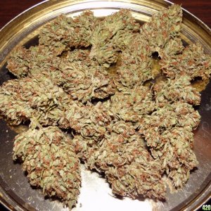 Grand_Daddy_Purple_x_O_G_Kush_Nuggets