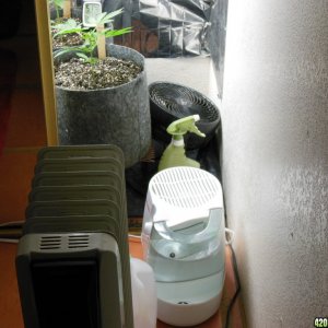 Heater, humidifier