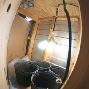 Grow Room