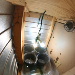 Grow Room