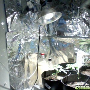 Homemade Growlab