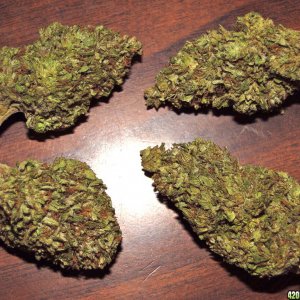 Organic_Grand_Daddy_Purple_x_AK-47_Nuggets